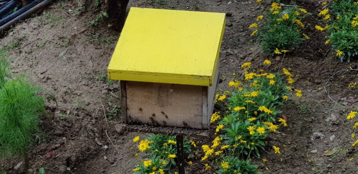 180718n 142 Bee Farm_resize
